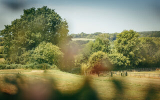 Photo 0013 320X200 at Blackstock Country Estate