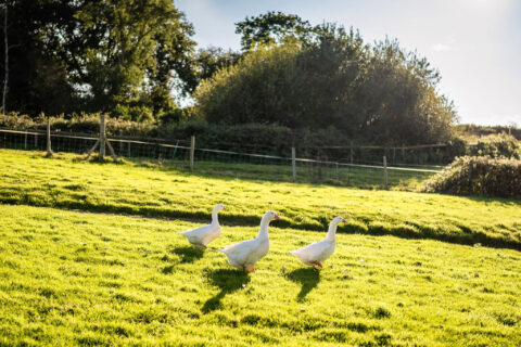 FranandOllieBlackstockCountyEstateWeddingTheSoulofMyLensWeddingPhotography-643 Countryside Wedding Venue Near Eastbourne